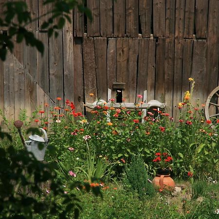 Casa Cu Zorele, Crit 189 Dış mekan fotoğraf