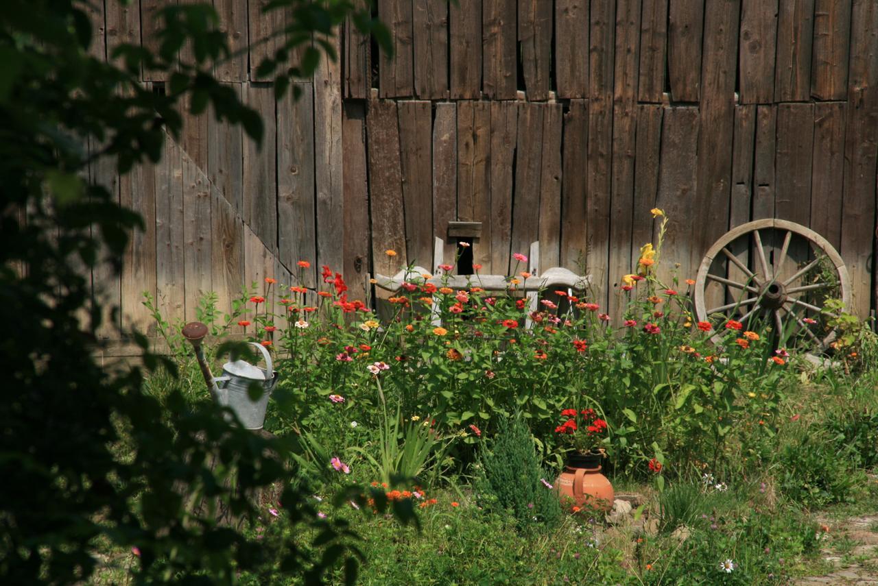 Casa Cu Zorele, Crit 189 Dış mekan fotoğraf